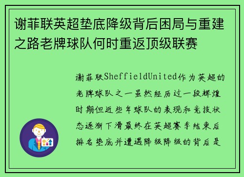 谢菲联英超垫底降级背后困局与重建之路老牌球队何时重返顶级联赛 谢菲联英超垫底降级背后困局与重建之路老牌球队何时重返顶级联赛